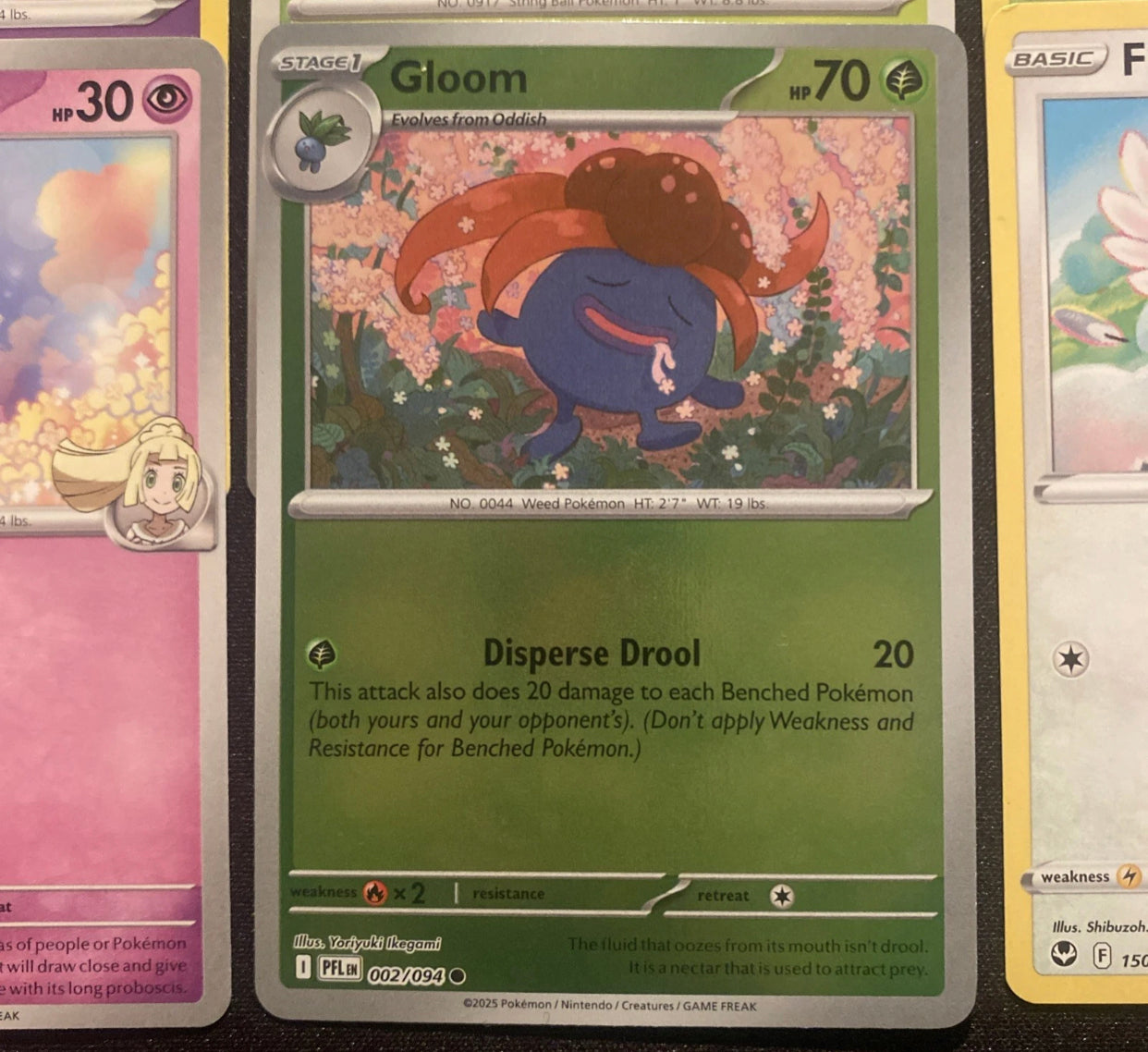 x25 Card + Holos - TCG Mix Pack