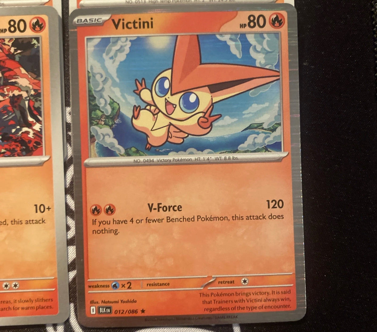 x25 Card + Holos - TCG Mix Pack