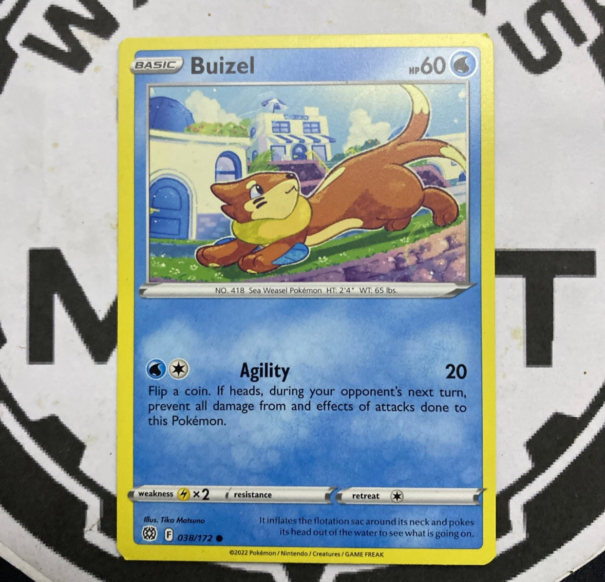 Buizel - 038/172