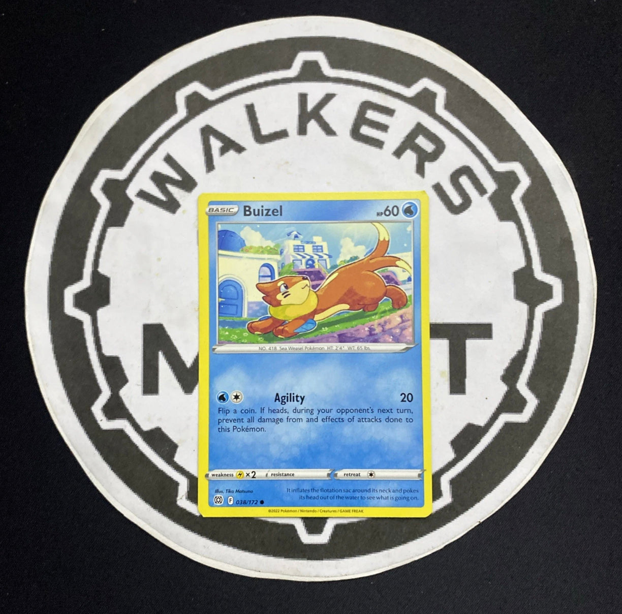 Buizel - 038/172